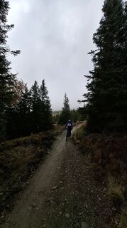 Foto de No Stefan a lo largo del recorrido