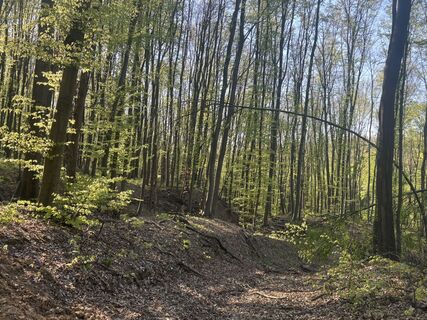 Foto de Reti Alicia a lo largo del recorrido