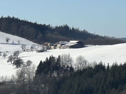 Foto von Gerald Koglbauer entlang der Tour