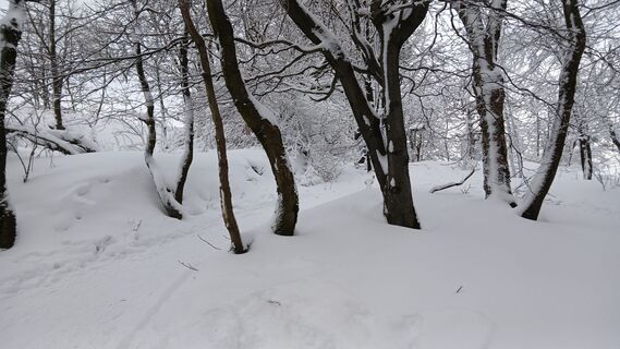 Photo from Fantom RoK along the tour