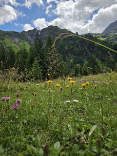 Foto von Pauline Lissek entlang der Tour