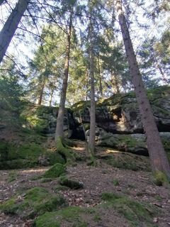 Foto von Wanderfux entlang der Tour