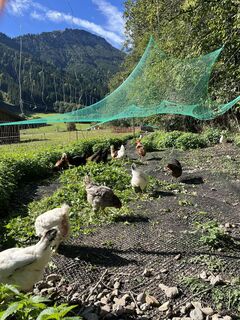 Photo de Kai Brinkmann le long du parcours