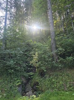 Photo de Anja Carraß le long du parcours