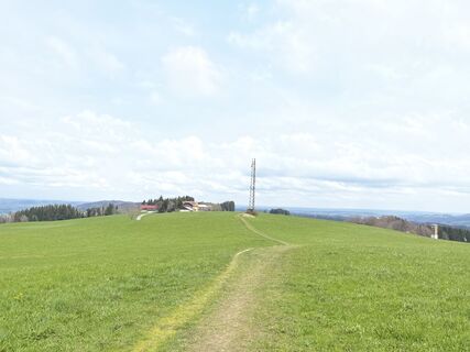 Fotografia z Heinz Sperl na trase