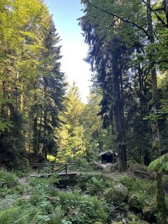 Photo de Ralf Umminger le long du parcours