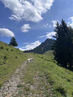 Foto von Bene Schadel entlang der Tour