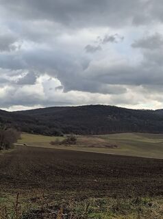 Photo de Julika Jármer le long du parcours