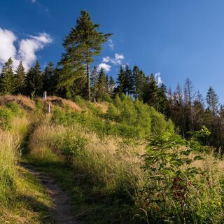 KPK1046487_Briloner Kammweg und Rothaarsteig_mittel.jpg