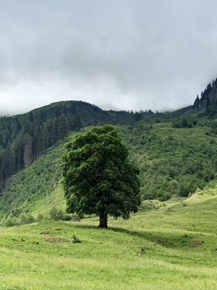Foto von Jack Peters entlang der Tour