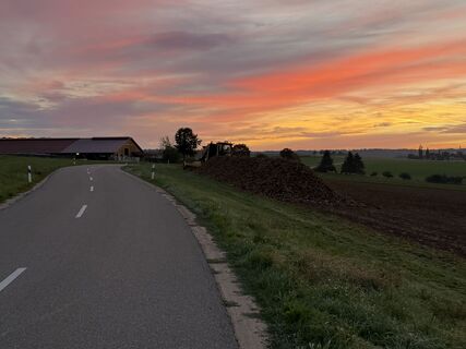 Foto de Schaali a lo largo del recorrido