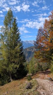 Foto de Pfefferam a lo largo del recorrido