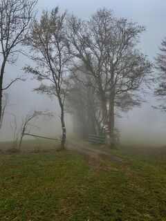 Photo from Leo Fahrngruber along the tour