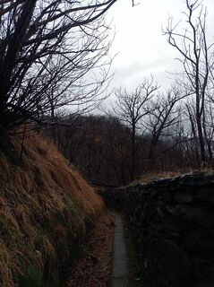 Photo de Aner le long du parcours