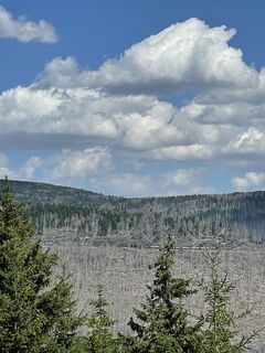 Foto de lotharkoerner a lo largo del recorrido