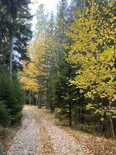 Fotografie de la Dietmar Taurer de-a lungul turului