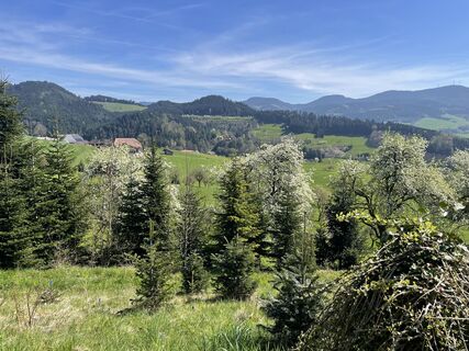 Foto von Ralf Umminger entlang der Tour