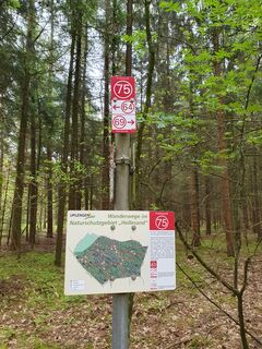 Hollesand_Naturschutzgebiet_Uplengen (6).jpg