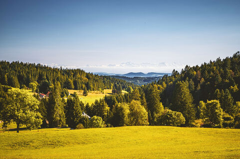 Alpensicht beim Steinernen Kreuz