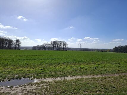 Foto von Keramiek entlang der Tour