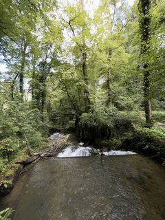 Photo de GabrielSR76 le long du parcours