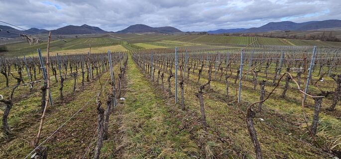 Zdjęcie z Wolfgang Riemer wzdłuż trasy