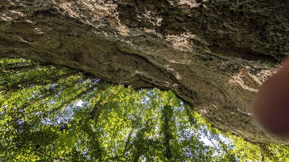 Fotó a Jele Hannes honlapról a túra során