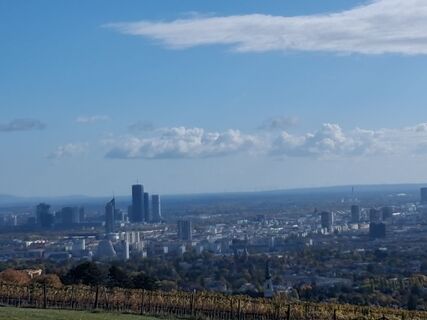 Foto von mtbler2 entlang der Tour