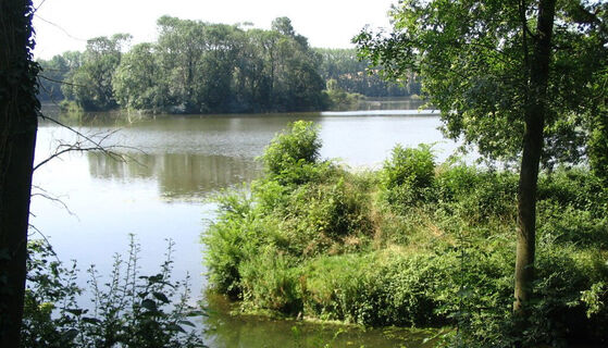 Peronne_frontfrancais