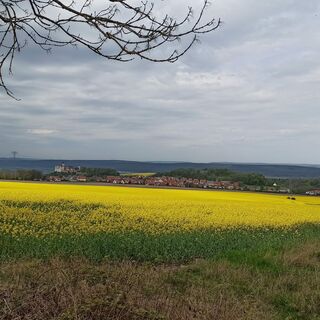 Blick zur Burg Ranis
