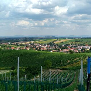 Ehret den Sock-Wanderweg