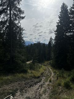 Photo de Daniel Osborne le long du parcours