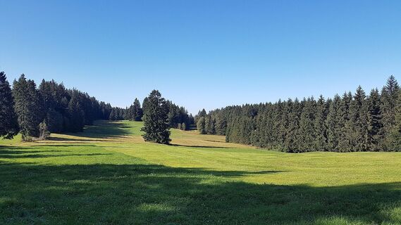 Hochsträss Sulzberg