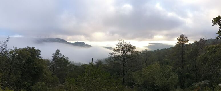 Foto von Car Los entlang der Tour