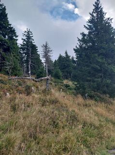 Foto från M.Suntrup under resans gång