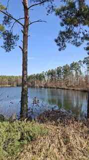 Fotografie z Rainer Krombholz na trase