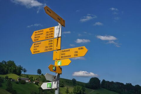 Auf dem Jakobsweg zurück nach Willisau