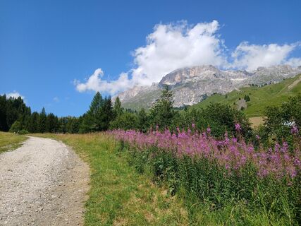Photo de Hexercito le long du parcours
