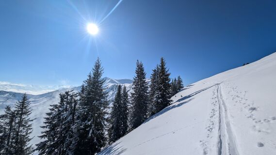 Foto von Klaus Lehner entlang der Tour