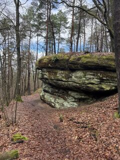 Fotografia z Paudatiger na trase