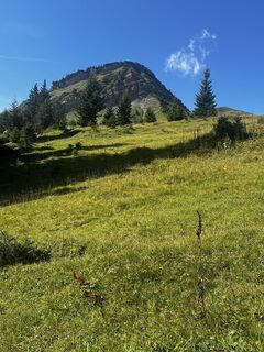 Zdjęcie z Timberwolf_Bavaria wzdłuż trasy
