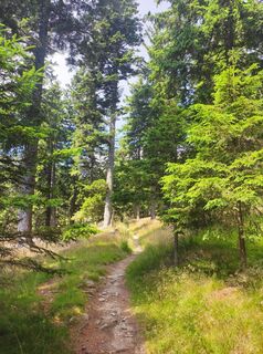 Foto von stuebi entlang der Tour