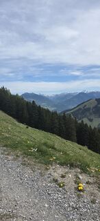 Foto von Michael Steiniger entlang der Tour