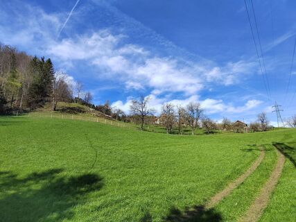 Fotografia z ReginaSt na trase