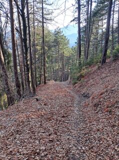Фото с сайта lamowe во время экскурсии