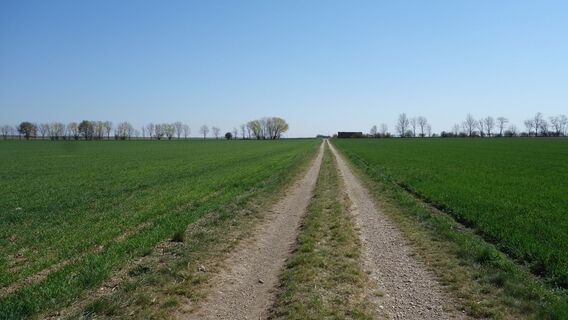 am Weg Richtung Ost