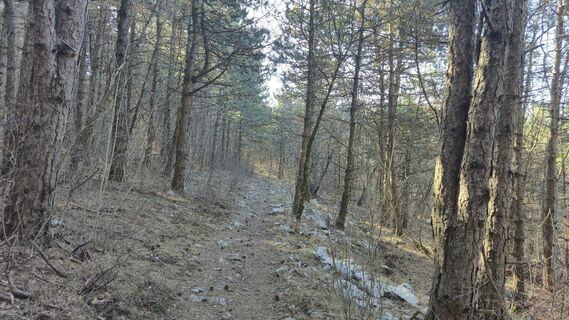 Фото с сайта Fabrizio Plesnizer во время экскурсии
