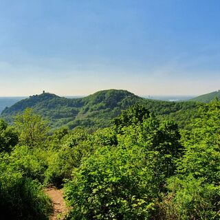 Blick vom Breiberg
