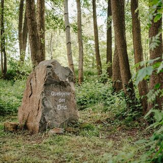 Quellgebiet der Orla