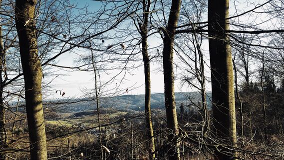 Foto von Klaus Tillmanns entlang der Tour